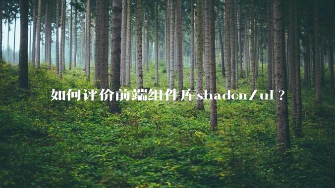 如何评价前端组件库shadcn/ui?
