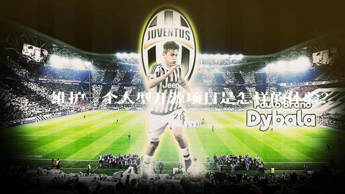 维护一个大型开源项目是怎样的体验？