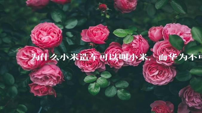 为什么小米造车可以叫小米，而华为不可以用华为品牌造车？