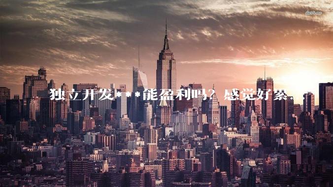 独立开发***能盈利吗？感觉好累...